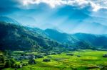 Rice Terrace Stock Photo