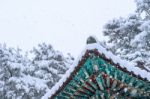 Landscape In Winter With Roof Of Gyeongbokgung And Falling Snow In Seoul,south Korea Stock Photo