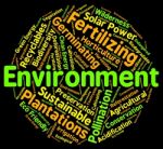 Environment Word Means Eco Systems And Ecosystem Stock Photo