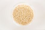 Raw Organic White Quinoa Seeds Stock Photo