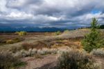 Grand Teton National Park Stock Photo