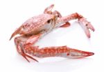 Red Crab Isolated On White Background Stock Photo