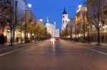 Gediminas In Vilnius At Night Stock Photo