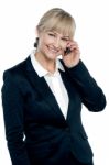 Middle Aged Corporate Woman Talking On Mobile Stock Photo