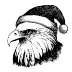 Eagle Bird With Christmas Hat Stock Photo