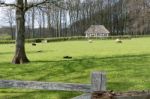 View Of Abernodwydd Farmhouse At St Fagans National History Muse Stock Photo