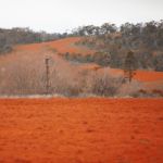 Farming Field In Tasmania, Australia Stock Photo