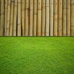 Bamboo And Grass Background Stock Photo