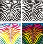 Background Zebra Stock Photo