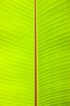 Banana Leaves Background Stock Photo