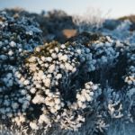 On Top Of Mount Wellington In Hobart, Tasmania During The Day Stock Photo