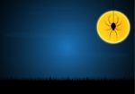 Halloween Spider Hanging Web Moon Graveyard Background Stock Photo