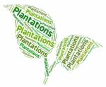 Plantations Word Shows Ranch Estate And Words Stock Photo