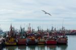 Fishing Boats Moored In The Port Stock Photo