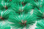 Green Incense Stick Stock Photo