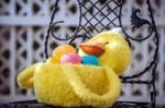 Easter Duck Basket Stock Photo