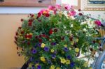 Colourful Flower Display On A Bicycle In Hallstatt Stock Photo