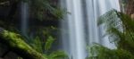 Russel Falls In Mount Field National Park Stock Photo