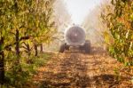 Agricultural Atomizer Stock Photo