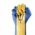 Flag Of Barbados On Hand Stock Photo