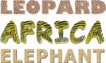 Leopard, Zebra And Elephant Texture In The Text Stock Photo