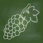 Hand Drawing Grape On Green Board - Illustration Stock Photo