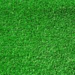 Green Grass Stock Photo