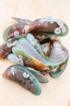 Raw Asian Green Mussel Stock Photo