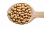 Soyabeans On Wooden Spoon Stock Photo