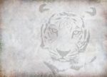 Tiger Drawing Stock Photo