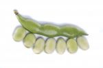 Broad Beans Stock Photo