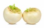 White Turnip Isolated On The White Background Stock Photo