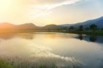 Mount Warning River Sugar Cane And Sun Stock Photo