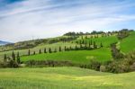 Scenery Val D'orcia Tuscany Stock Photo