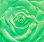 Sandstone Sculpture Of A Rose Stock Photo