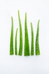 Aloe Vera On White Background Stock Photo