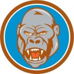 Angry Gorilla Head Circle Cartoon Stock Photo