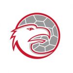 European Handball Eagle Mascot Stock Photo