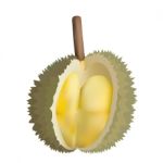 Peeled Durian 2 Stock Photo