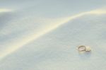 Wedding Rings In The Snow Stock Photo