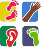 Anatomy Icons Stock Photo