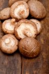 Shiitake Mushrooms Stock Photo