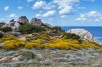 The Coastline At Capo Testa Sardinia Stock Photo