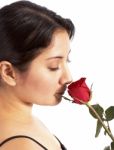 Showing Love With Red Rose Stock Photo