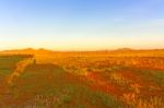 Sunrise In Namibia Stock Photo