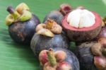 Mangosteen Stock Photo