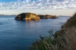 Coromandel Coastline Stock Photo