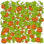 Pumpkin Background Stock Photo