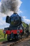 Flying Scotsman On The Bluebell Line Stock Photo