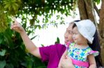 Mother And Daughter In The Park Stock Photo